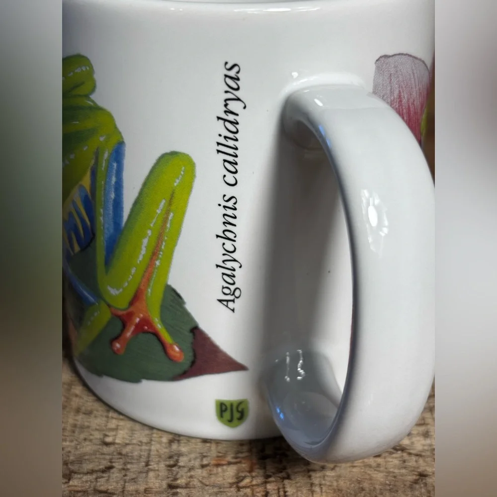 Pedro Gonzalez Red Eyed Tree Frog Coffee Mug VTG Academy Store SF 1990 CAS